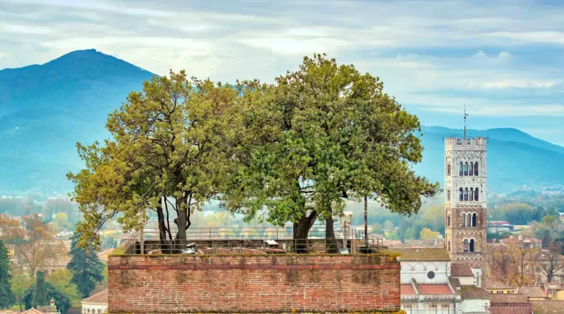 Alberi svettano dalla cima della Torre Guinigi, un'icona di Lucca, con montagne sullo sfondo.