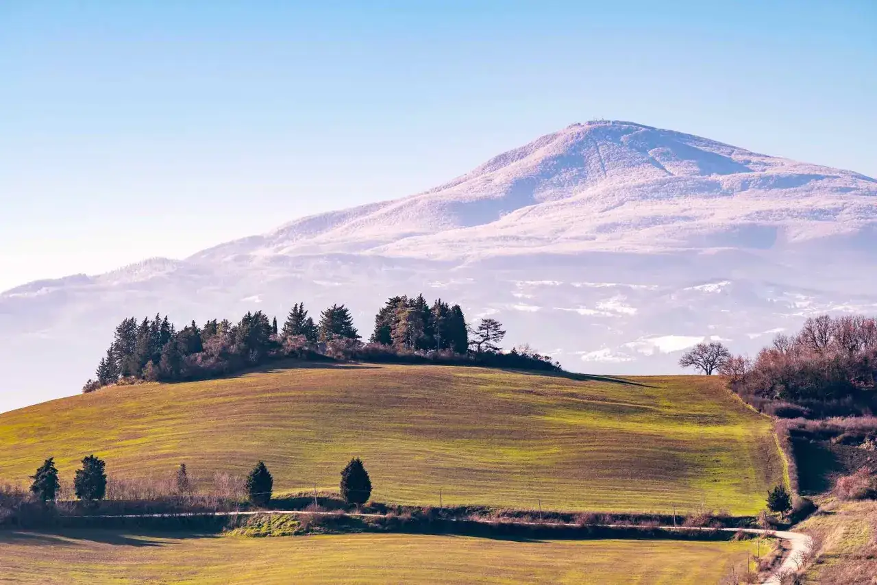 Colline verdi e alberi su un pendio, con il Monte Amiata innevato in lontananza. Un invito a scoprire cosa vedere sul Monte Amiata.